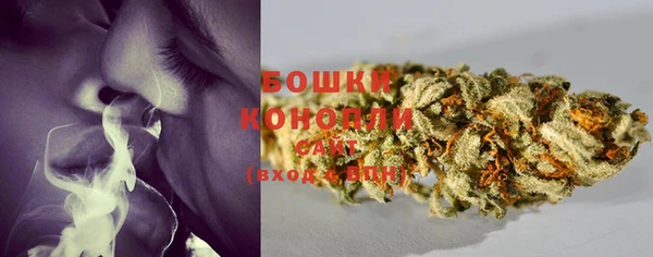 амф Надым