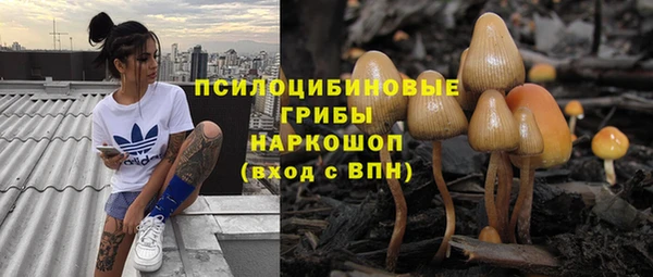 амф Надым