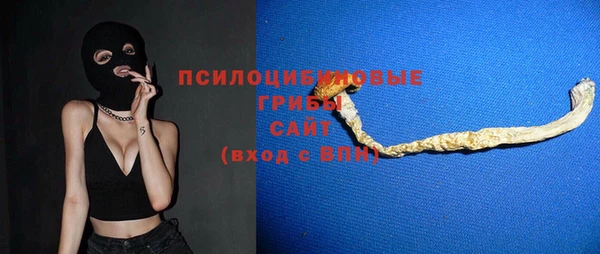 амф Надым