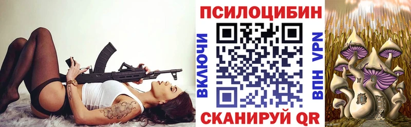 Купить где  Новошахтинск  Псилоцибиновые грибы ЛСД 