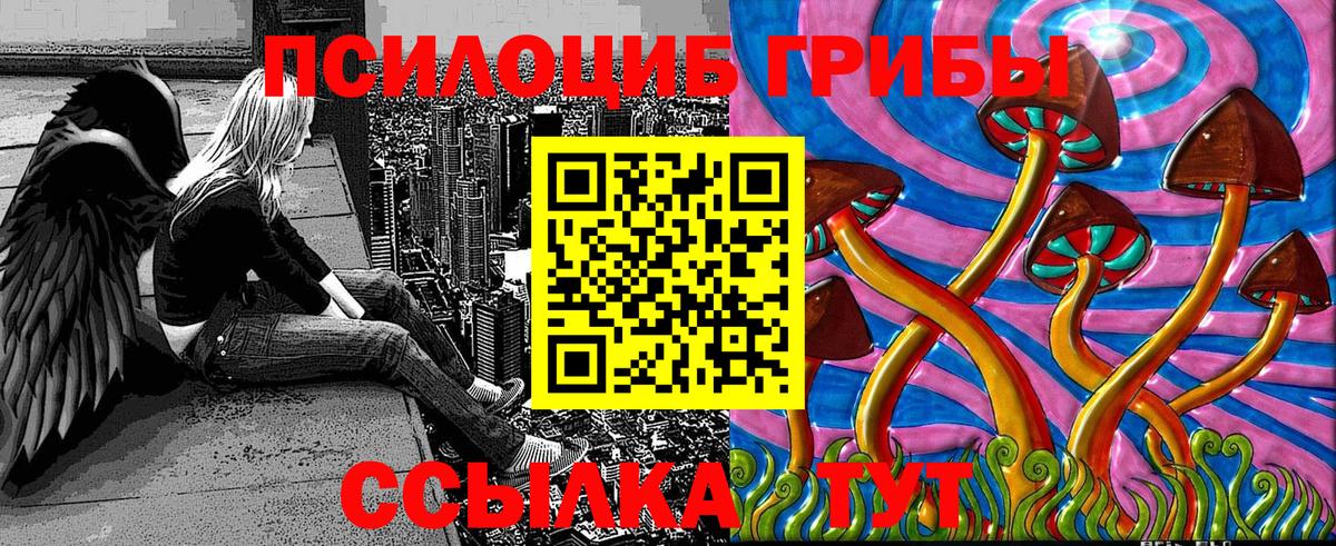 Псилоцибиновые грибы ЛСД  Новошахтинск  что такое наркотик  Галлюциногенные грибы Cubensis 