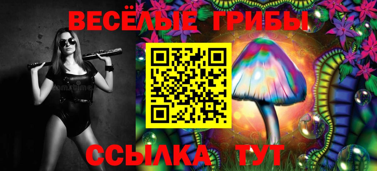 МДМА  A PVP СОЛЬ кристаллы  Конопля  Меф кристаллы  Новошахтинск  ГАШИШ  МЕФ кристаллы 