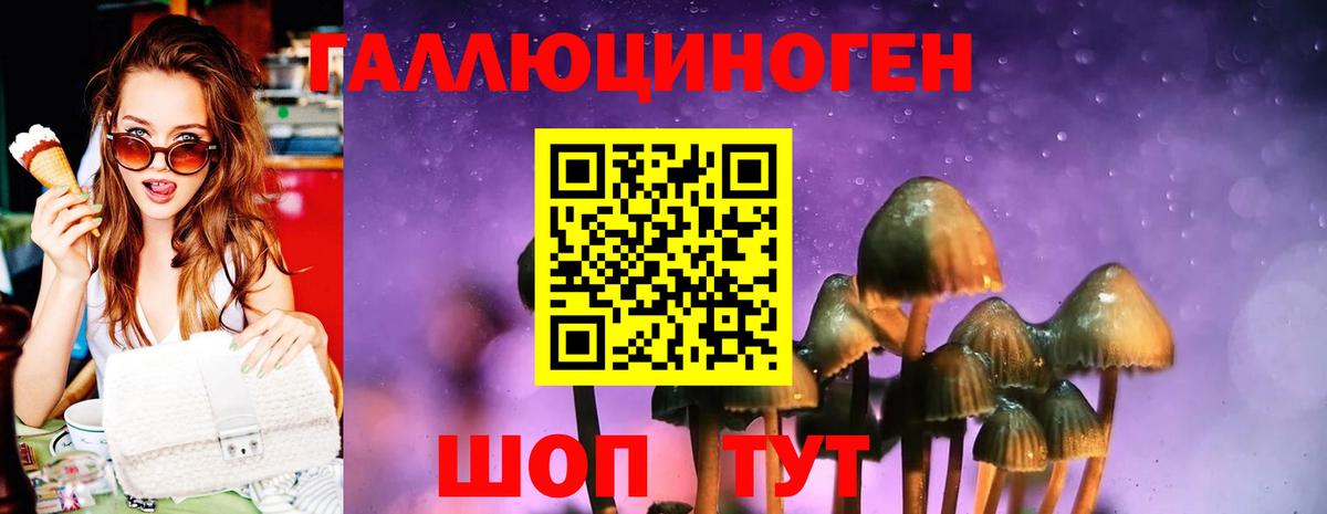 Псилоцибиновые грибы ЛСД Новошахтинск